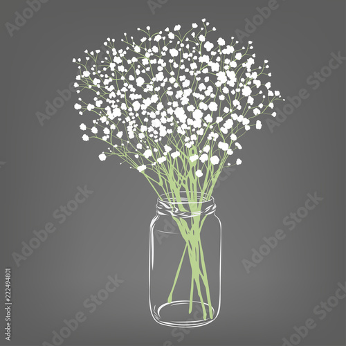 White flowers bouquet. Gypsophila flowers. Transparent clear glass jar. Grey background. Vector Illustration.