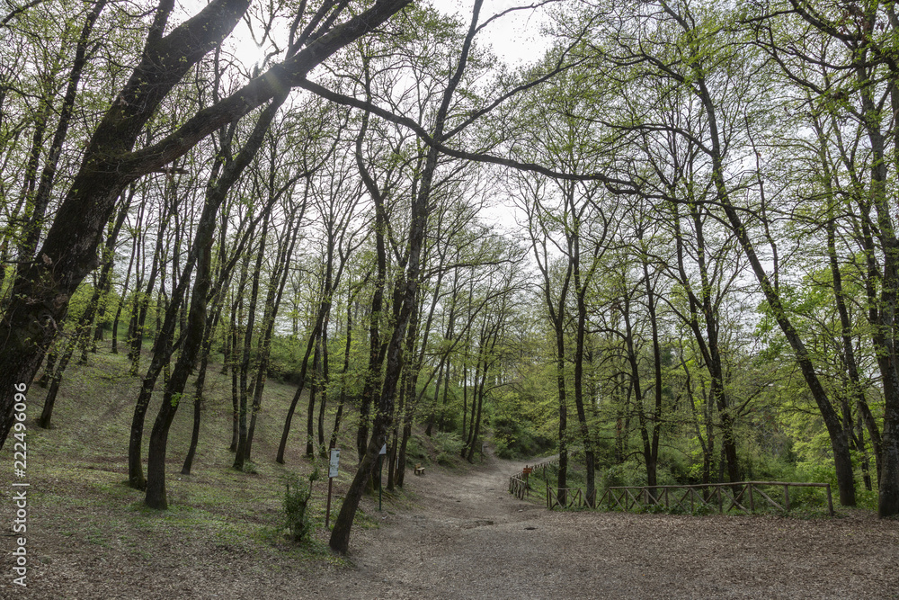 Parco Trentani - Riserva Naturale Nomentum - Mentana Parco Trentani - Riserva Naturale Nomentum - Mentana