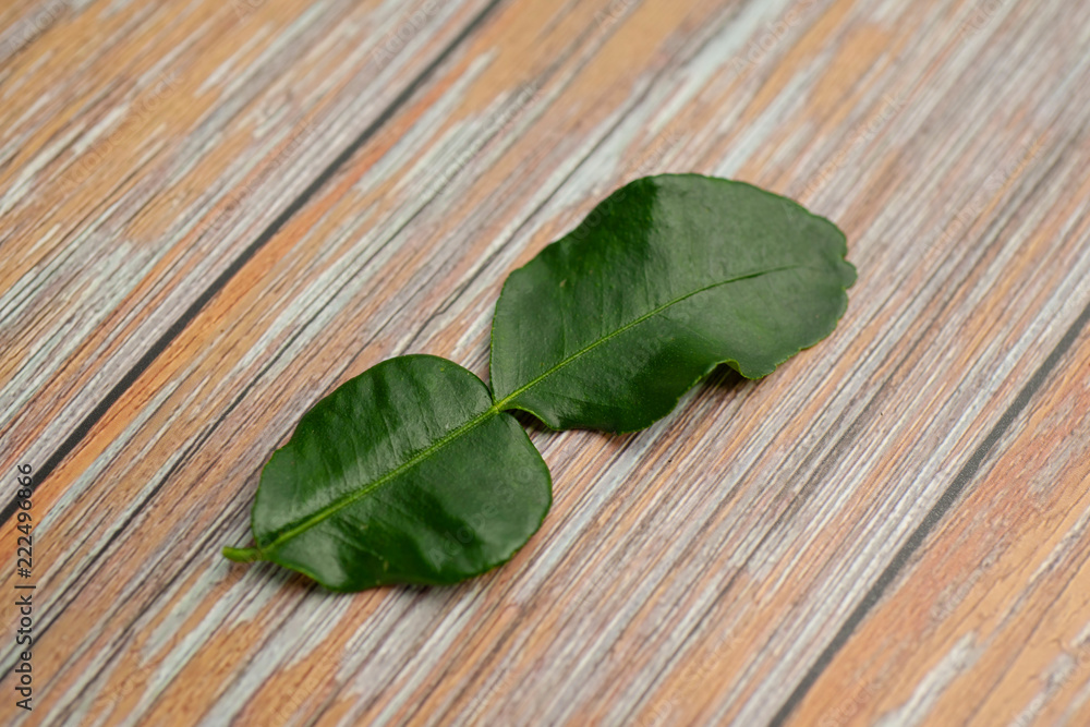Green bergamot leaf on the wood background Green bergamot leaf on the wood background