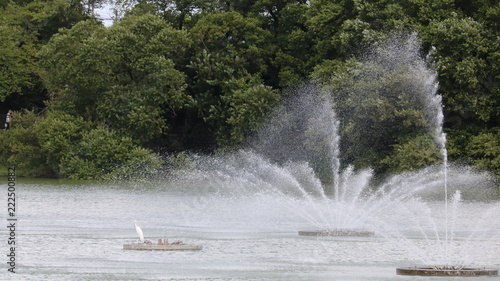 愛知 大府 噴水のある公園 水しぶきとシロサギ 日中