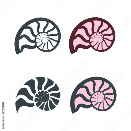 Set of nautilus shells icons. Vector illustration.