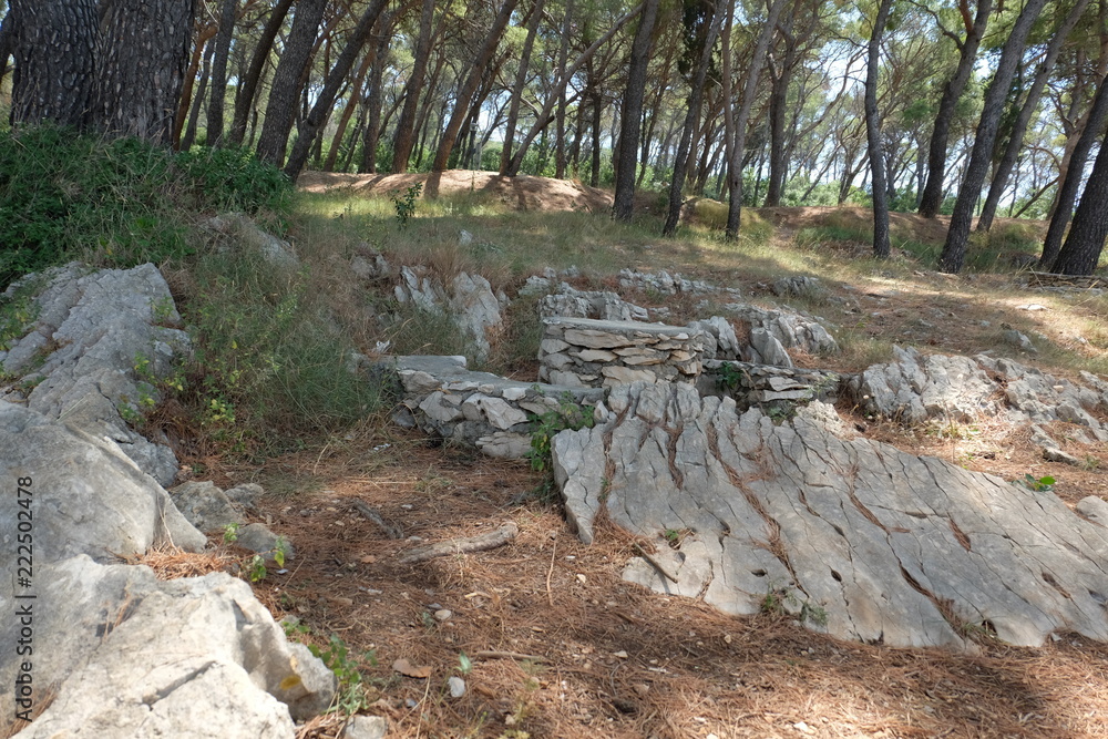 Split stone park landscape
