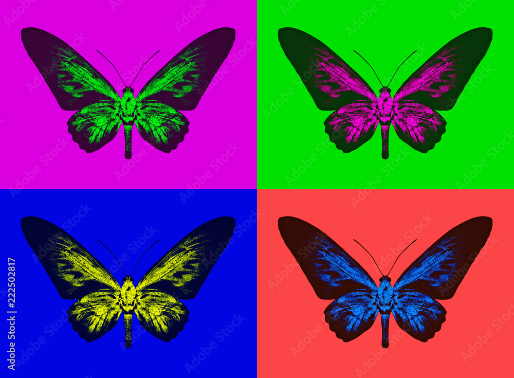 custom made wallpaper toronto digitalSet of colorful butterflies silhouettes on multicolored background.