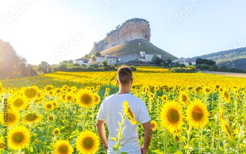 Fototapeta Naklejka Na Ścianę i Meble -  Sunflowers in a village of Spain