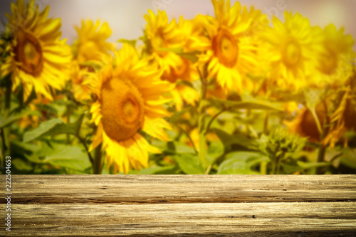 Fototapeta Naklejka Na Ścianę i Meble -  beautiful sunflowers and an old wooden table  