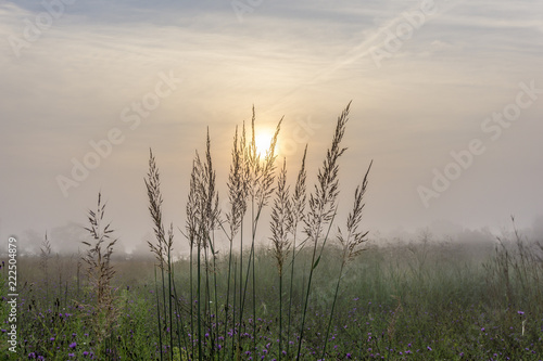 Morning Fog Over Field At Sunrise