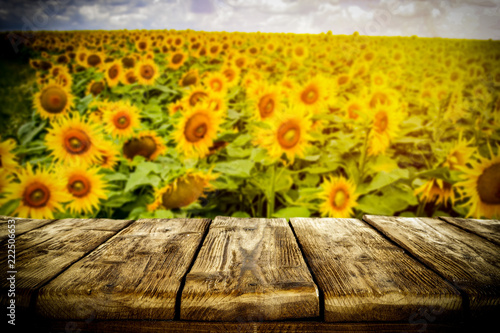 Fototapeta Naklejka Na Ścianę i Meble -  beautiful sunflowers and an old wooden table  