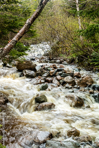 фотографія Mattie Mitchell Creek, Gros Morne National Park, Newfoundland, Canada