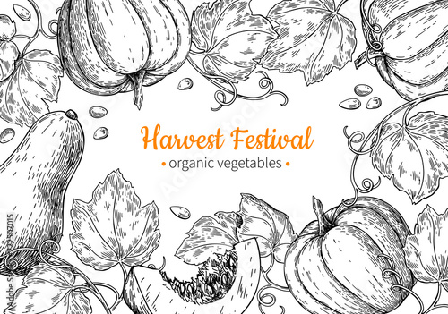 Pumpkin vector frame. Hand drawn vintage Harvest festival illustration. Farm Market sketch
