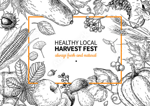 Harvest festival. Hand drawn vintage vector frame illustration with vegetables, fruits, leaves.