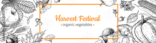 Harvest festival banner. Hand drawn vintage vector frame with vegetables, fruits, leaves. Farm Market