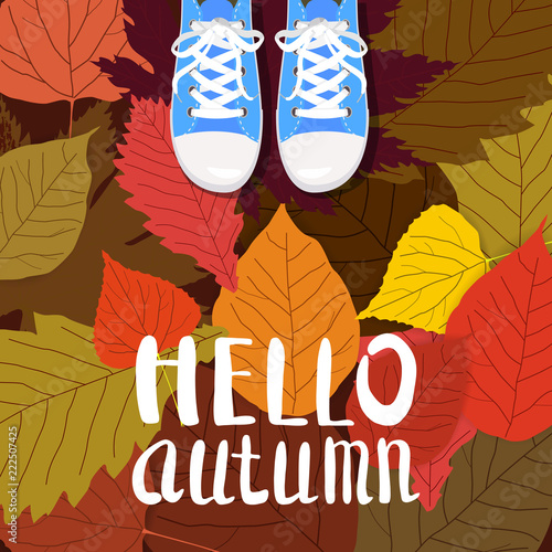 Hello autumn color illustration. Person feet standing in sneakers on yellow, red, green fallen leaves. Hand drawn lettering. Early fall postcard. Walk in park. Autumn time vector cartoon banner