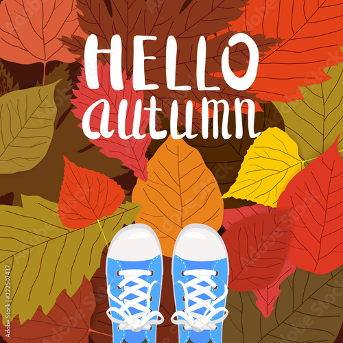 Hello autumn color illustration. Person feet standing in sneakers on yellow, red, green fallen leaves. Hand drawn lettering. Early fall postcard. Walk in park. Autumn time vector cartoon banner