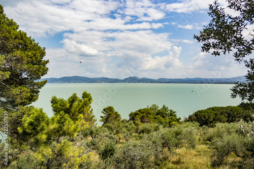 View on Trasimeno lake with olive grove  Umbria - Italy