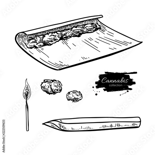Cannabis joint vector drawing. Marijuana cigarette with buds and