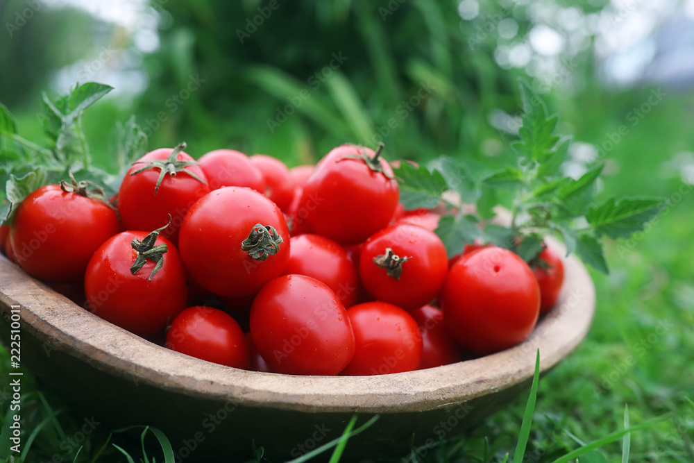 Fresh tomato crop in a wooden bowl Fresh tomato crop in a wooden bowl