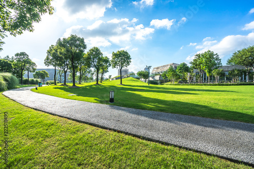 Fototapeta Naklejka Na Ścianę i Meble -  green lawn in city