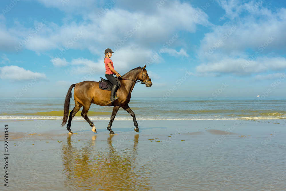 belle cavalière au trot les pieds dans l'eau belle cavalière au trot les pieds dans l'eau