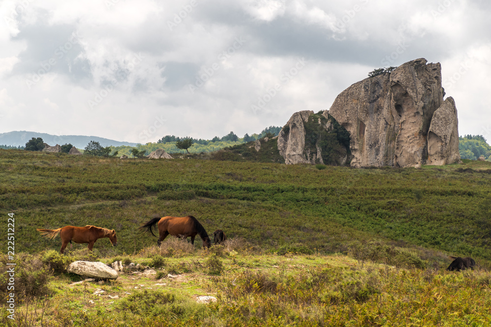 Horses pasturing in the plateau of Argimusco, in Sicily, with a natural megalith in the background