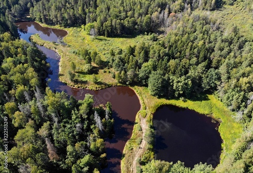 Река и озеро в лесу с воздуха created by dji camera