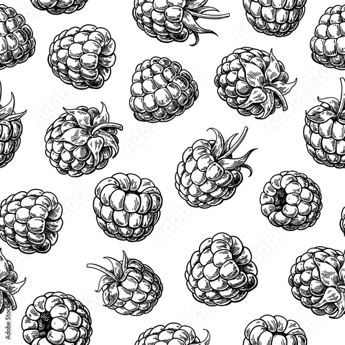 Raspberry seamless pattern. Vector drawing. Isolated berry sketch on white background.