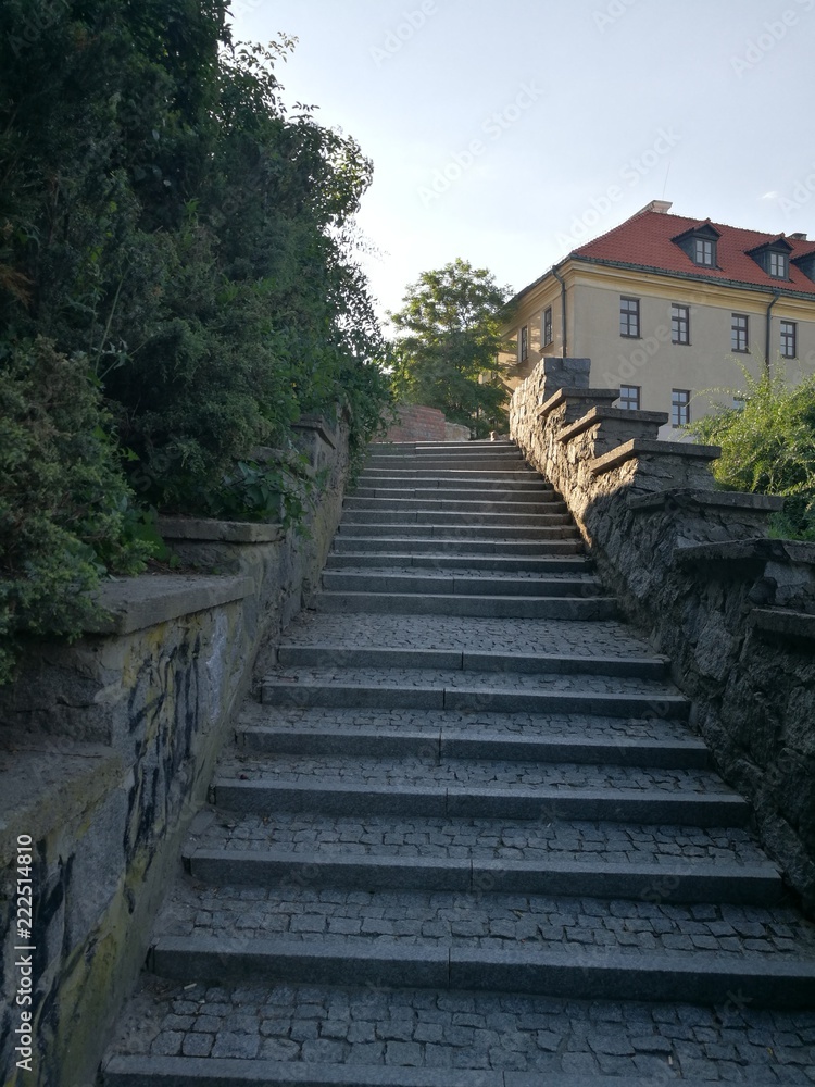 Fototapeta premium sdr