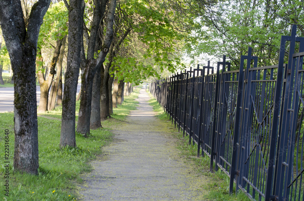 path in the park along the fence