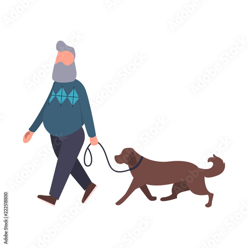 Dog walker walking pet outdoor. Senior stroll with labrador. Cartoon flat vector character. Pet walking service concept art. An elderly man is training an animal to go near.