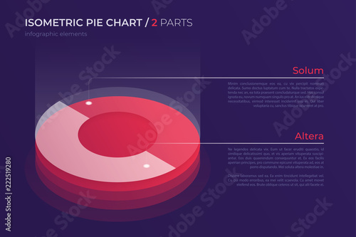Vector isometric pie chart design, modern template for creating 