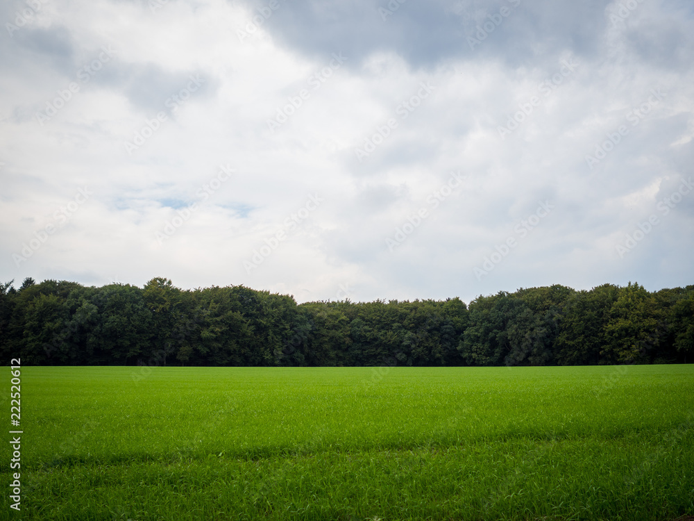 Fototapeta premium green and blue