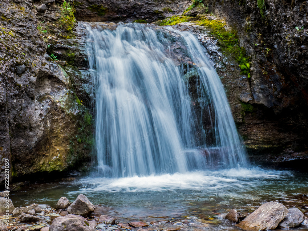 Fototapeta premium OLYMPUS DIGITAL CAMERA