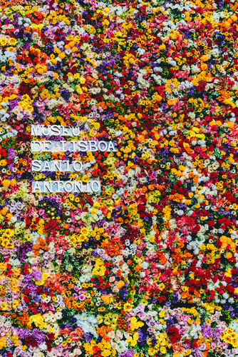 Lisbon, Portugal - June 11, 2018: Flowers on a wall during a festival in Lisbon