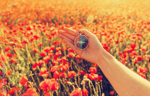 Fototapeta Naklejka Na Ścianę i Meble -  Hand with compass in wildflowers meadow.