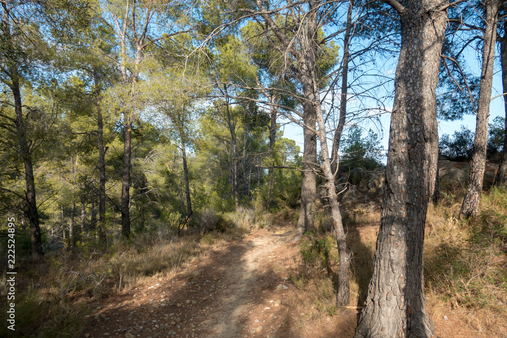 The desert park of Las Palmas in Castellón The desert park of Las Palmas in Castellón