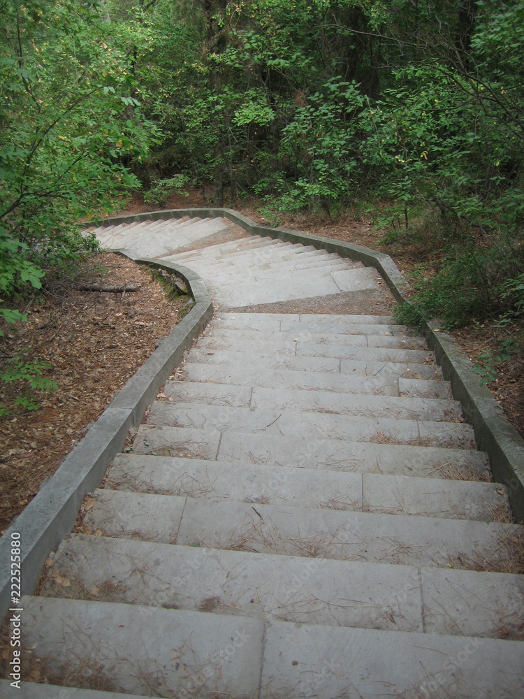 stairs in the park