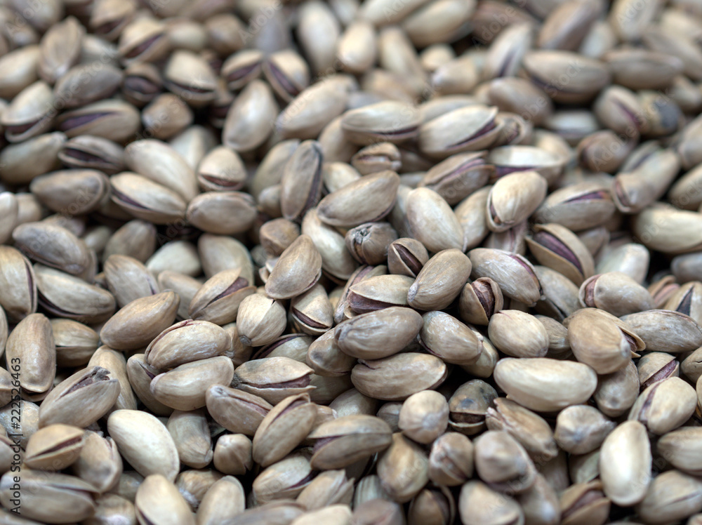 pistachio background pistachio background