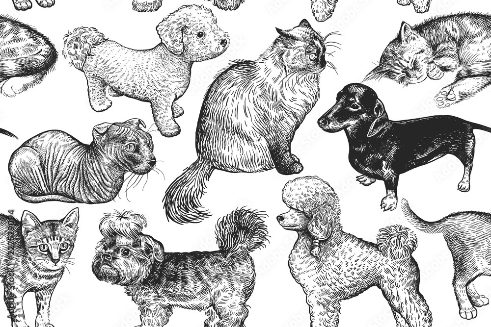 Cute kittens and puppies. Seamless pattern.