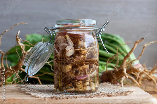 Preparation of alcohol tincture from evening primrose root