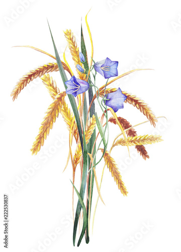 wild flowers and ears of wheat on a summer meadow. pattern. Watercolor. 

