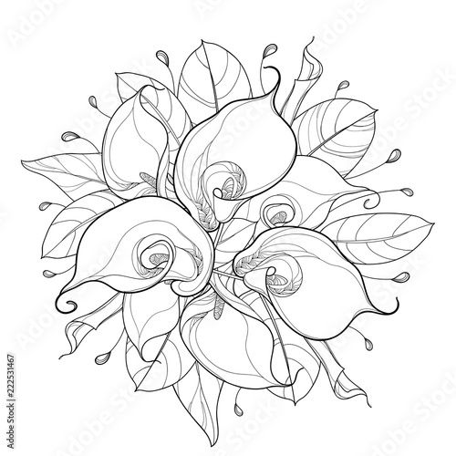 Photo Vector round bouquet of outline Calla lily flower or Zantedeschia, bud and ornate leaf in black isolated on white background