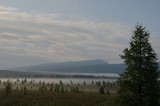 Early morning in the taiga valley.