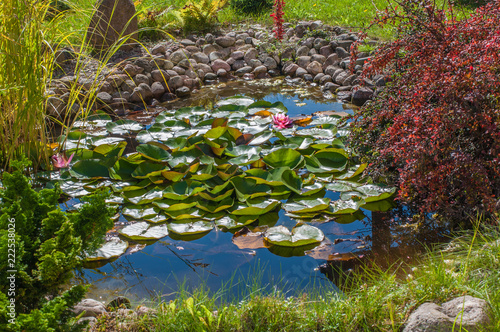 Fototapeta Naklejka Na Ścianę i Meble -  Beautiful Garden Pond