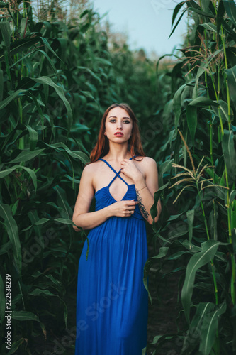 Young beautiful woman stands in a dress among ripe corn. Agroculture.