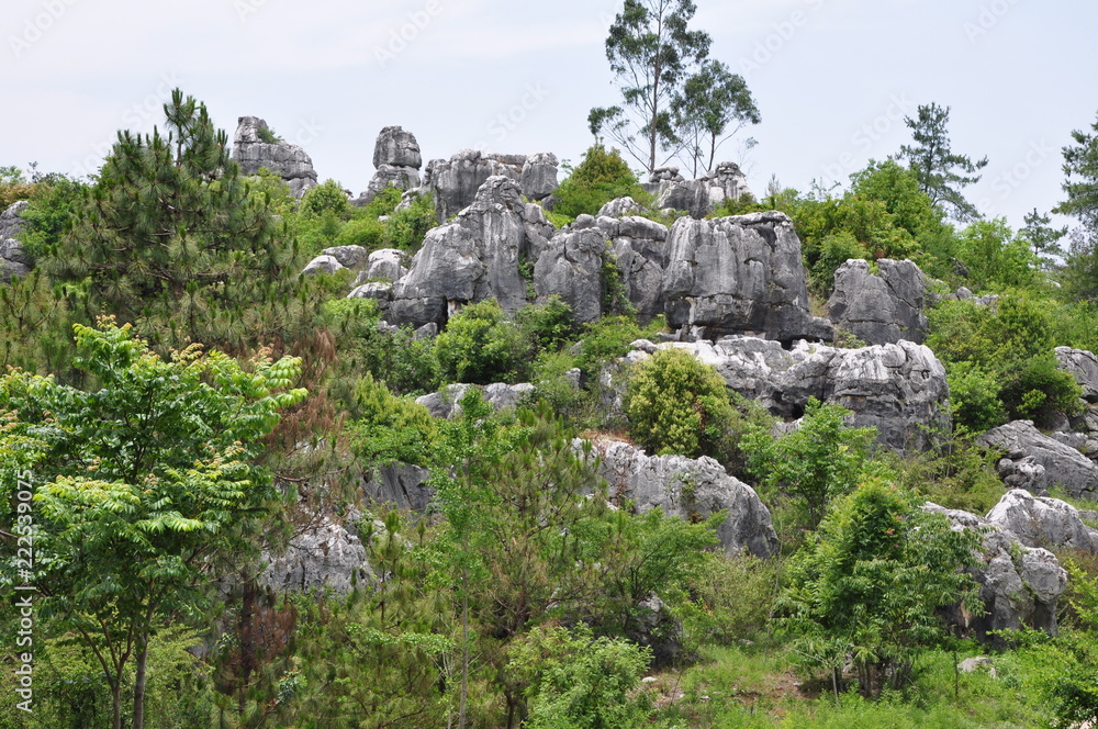 Stone Forest. Shilin Park, China.