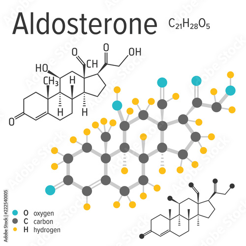 Chemical formula, structure and model of the aldosterone molecule, vector illustration
