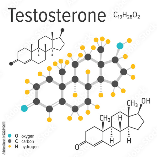 Chemical formula, structure and model of the testosterone molecule, vector illustration