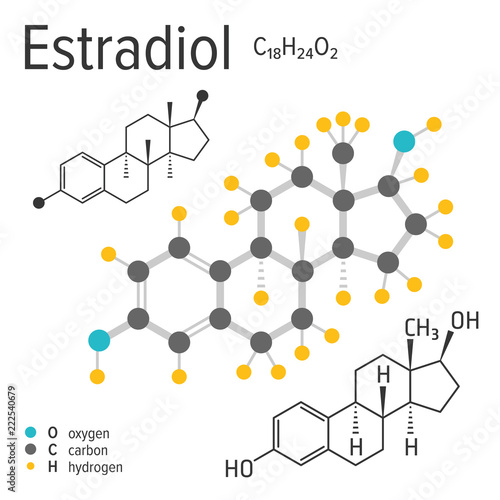 Chemical formula, structure and model of the estradiol molecule, vector illustration