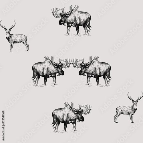 Seamless pattern of hand drawn sketch style moose and deer isolated on white background. Vector illustration.