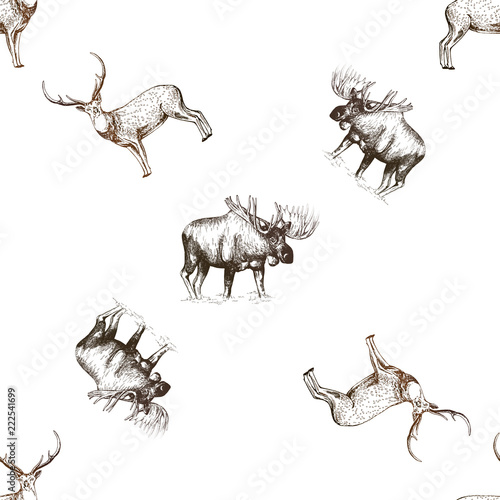Seamless pattern of hand drawn sketch style moose and deer isolated on white background. Vector illustration.