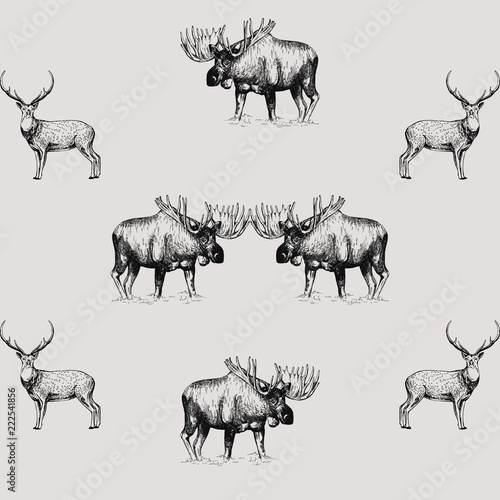 Seamless pattern of hand drawn sketch style moose and deer isolated on white background. Vector illustration.